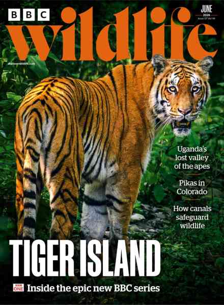 BBC Wildlife – June 2026