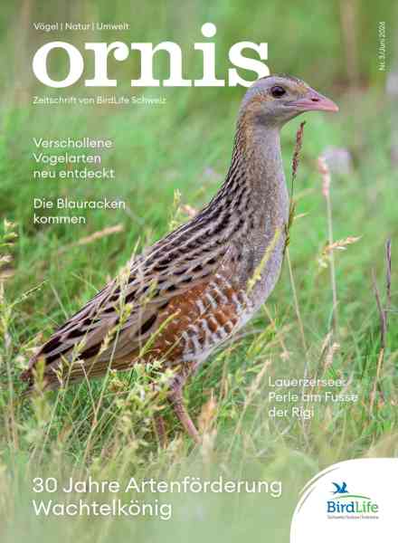 Ornis – Juni 2026