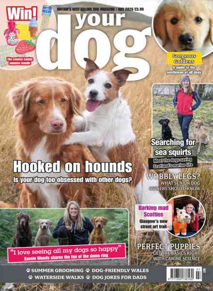 Your Dog – July 2026