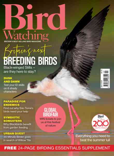 Bird Watching UK – July 2026