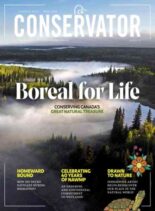 Conservator – Spring 2026