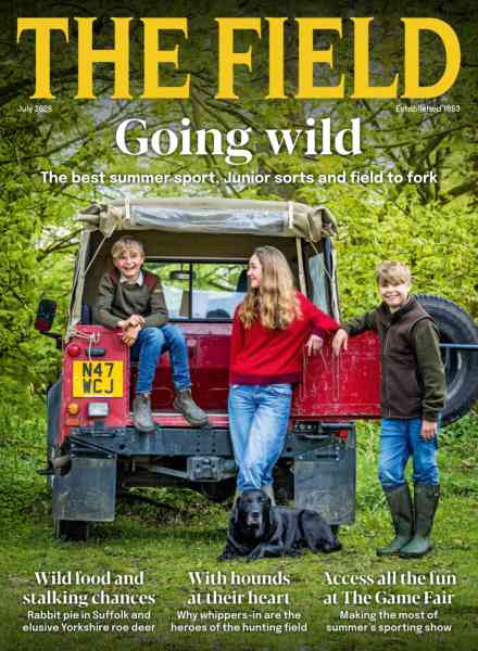 The Field – July 2026