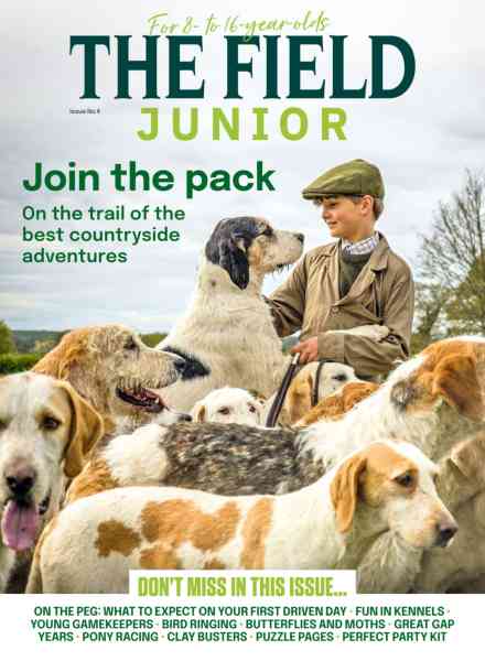 The Field Junior – Issue 4 2026