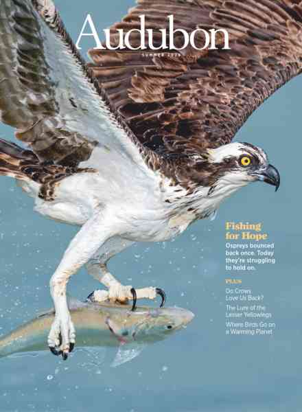 Audubon Magazine – Summer 2026