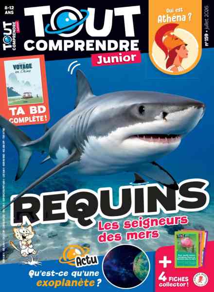 Tout Comprendre Junior – Juillet 2026