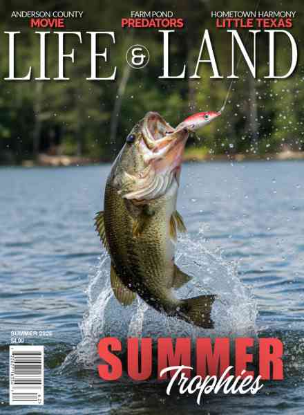 Life & Land – Summer 2026