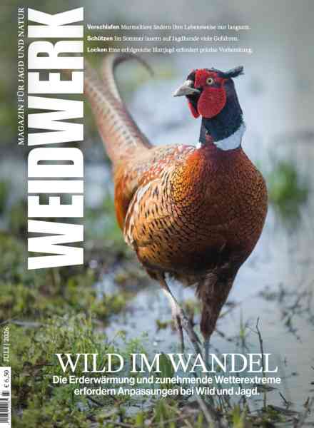 Weidwerk – Juli 2026