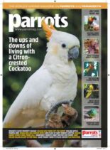 Parrots – July 2026