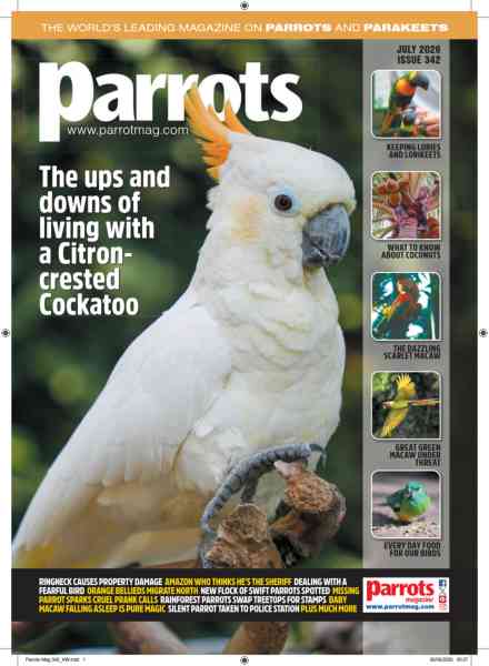 Parrots – July 2026