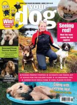 Your Dog – August 2026