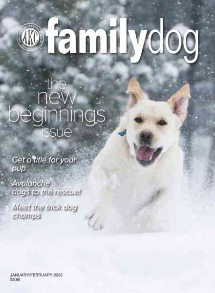AKC Family Dog – January-February 2025