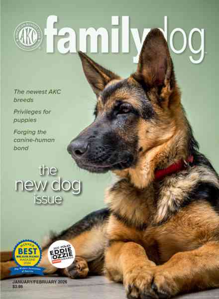 AKC Family Dog – January-February 2026
