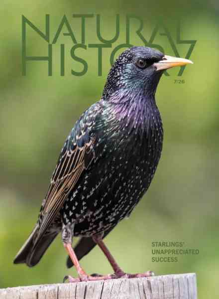 Natural History – July 2026