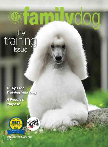AKC Family Dog – January-February 2023