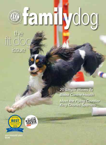 AKC Family Dog – July-August 2023