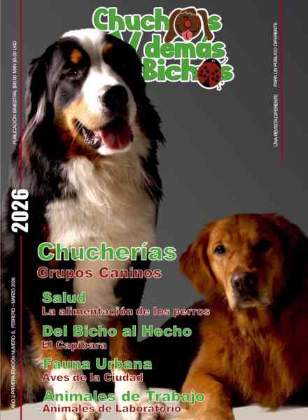 Chuchos y Demas Bichos – Febrero-Marzo 2026