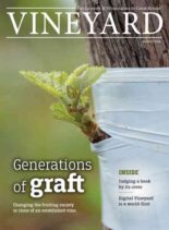 Vineyard – August 2026