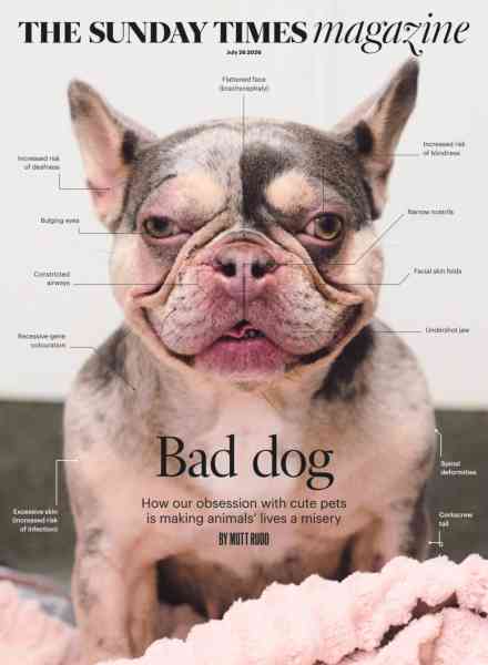 The Sunday Times Magazine – July 26 2026